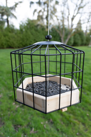 SQUIRREL RESISTANT PLATFORM BIRD FEEDER