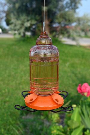 ANTIQUE BIRD CAGE STYLE GLASS ORIOLE FEEDER