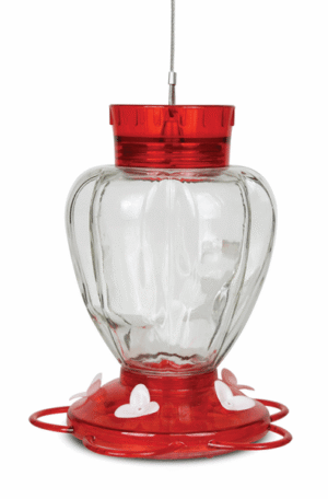 GLASS HUMMINGBIRD FEEDER 29OZ
